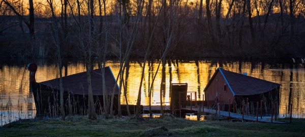 Bárka