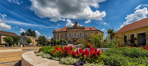 Hírek, aktualitások